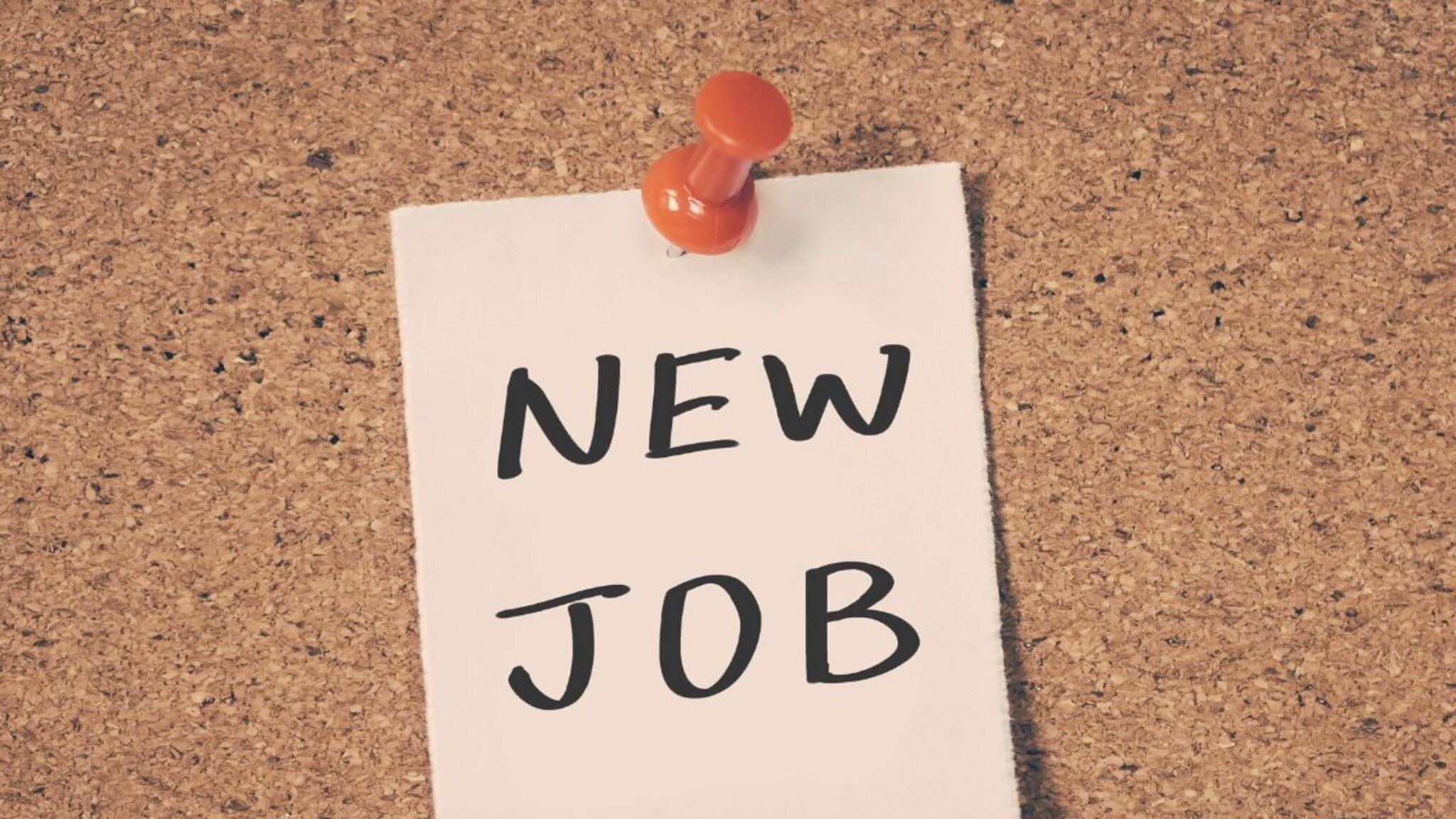 सरकारी नोकरीची मेगाभरती, बँक ते रेल्वे अन् शिक्षक ते Post office,  कुठे आणि कसा करायचा अर्ज?