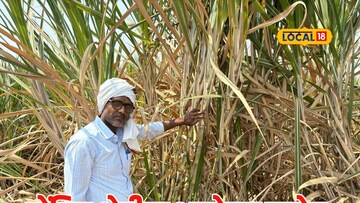 सेंद्रिय