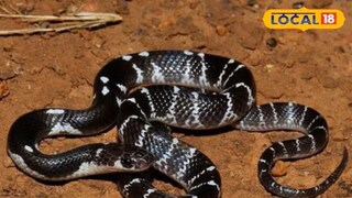 फाईल फोटो