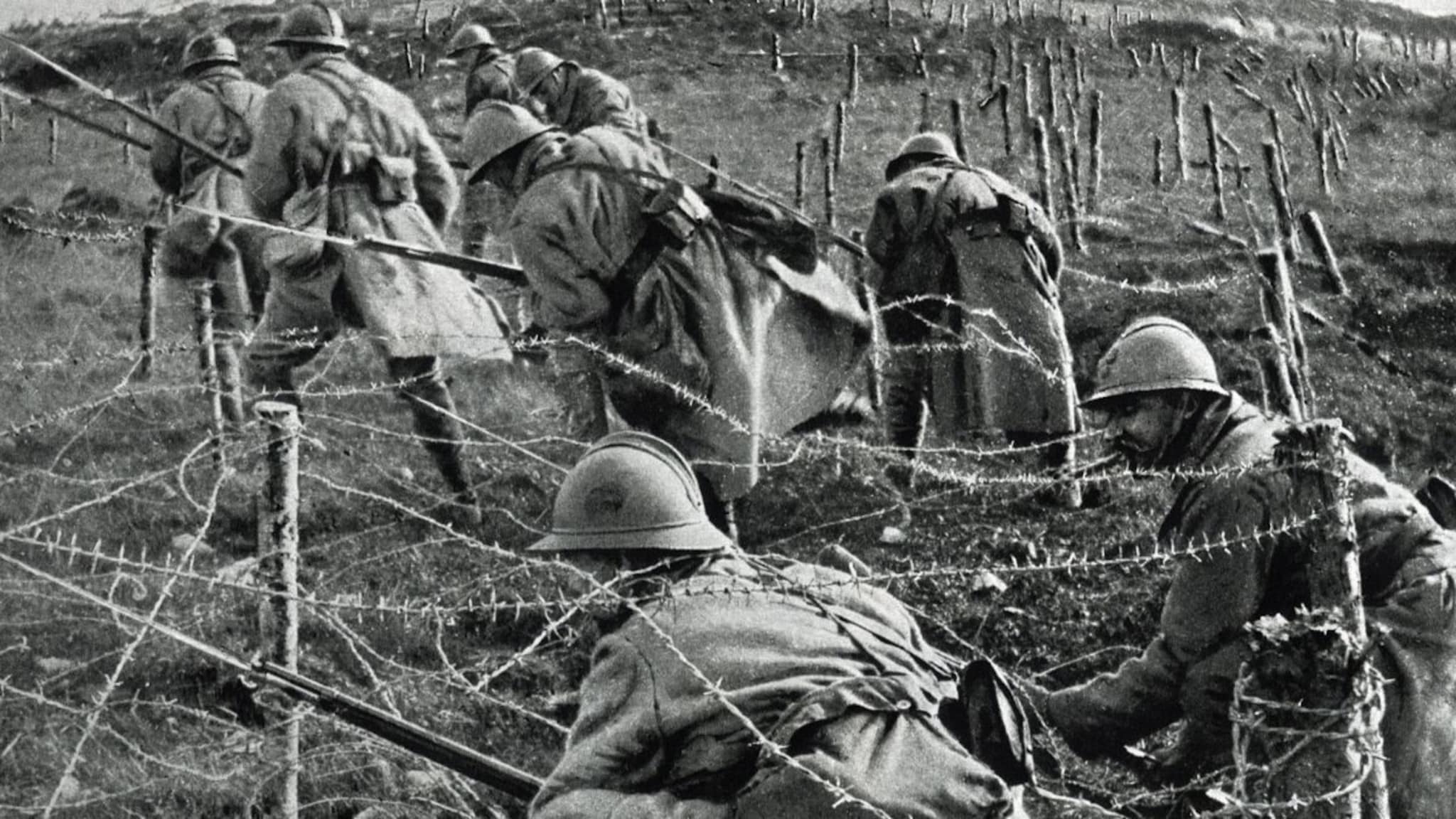 तुमच्या घरात सापडणाऱ्या छोट्याशा जीवाने लाखो सैनिकांचा घेतला होता जीव, पहिल्या महायुद्धाची भयानक कहाणी