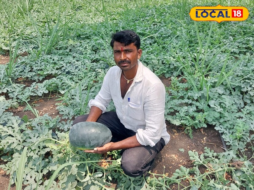  सततचा दुष्काळ, अवकाळी पावसाचे संकट तसेच शेतीमालाला योग्य भाव न मिळणं, अशा विविध अडचणींचा सामना शेतकरी वर्ग सातत्याने करत असतो. अनेक आव्हानांचा सामना करत शेतकरी आपल्या शेतात नवनवे प्रयोग करत असतो. असाच एक प्रयोग <a href="https://news18marathi.com/maharashtra/jalna/">जालना जिल्ह्यातील</a> वडीगोद्रीचे शेतकरी अशोक आटोळे यांनी केला आहे.