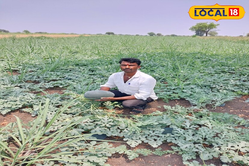आपल्या तीन एकर शेतामध्ये ऊस शेती केली असून त्यात आंतरपीक म्हणून टरबूज लागवड केली. यातील एका एकरातून आतापर्यंत दोन लाखांचे उत्पन्न मिळाले आहे. तर 3 एकरात 5 लाखांचा नफा अपेक्षित आहे, असे शेतकरी आटोळे सांगतात.