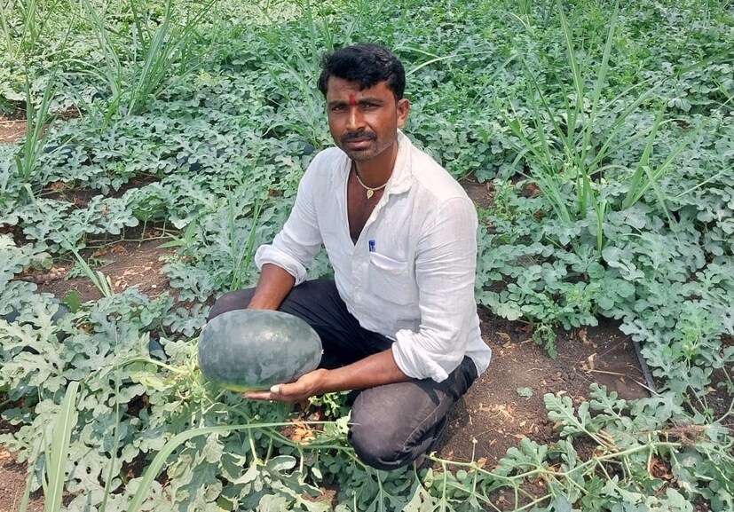 आजूबाजूच्या शेतकऱ्यांनी देखील पारंपारिक पिकांना फाटा देऊन शेतीमध्ये नवनवीन पिके घ्यावीत. त्याचे योग्य व्यवस्थापन करावे व चांगला आर्थिक फायदा मिळवावा, असे आवाहन आटोळे यांनी केले. (नारायण काळे, प्रतिनिधी)