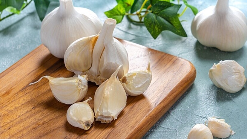  चाकूचा वापर करा : मोठ्या चाकूने <a href="https://news18marathi.com/photogallery/lifestyle/kitchen-tips-peel-kilos-of-garlic-in-few-minutes-by-using-these-simple-tricks-mhpj-1188640.html">लसूण</a> थोडा दाबा. लसणाच्या टोकावर दाब दिल्याने त्याची निघास मदत होते. प्रथम लसणाचा वरचा भाग सोलून घ्या. त्यानंतर बाकीची सालही सहज निघते. परंतु ही पद्धत खूप वेळ घेणारी आहे.