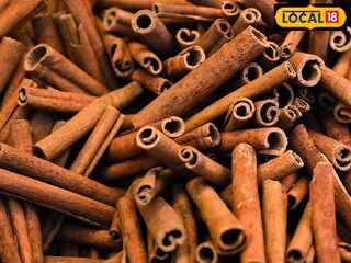 आयुर्वेदातही दालचिनीचे फायदे सांगितलेले आहेत. 
