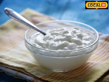 दही साखर घालून खावं की मीठ? आयुर्वेद काहीतरी वेगळंच सांगतं...