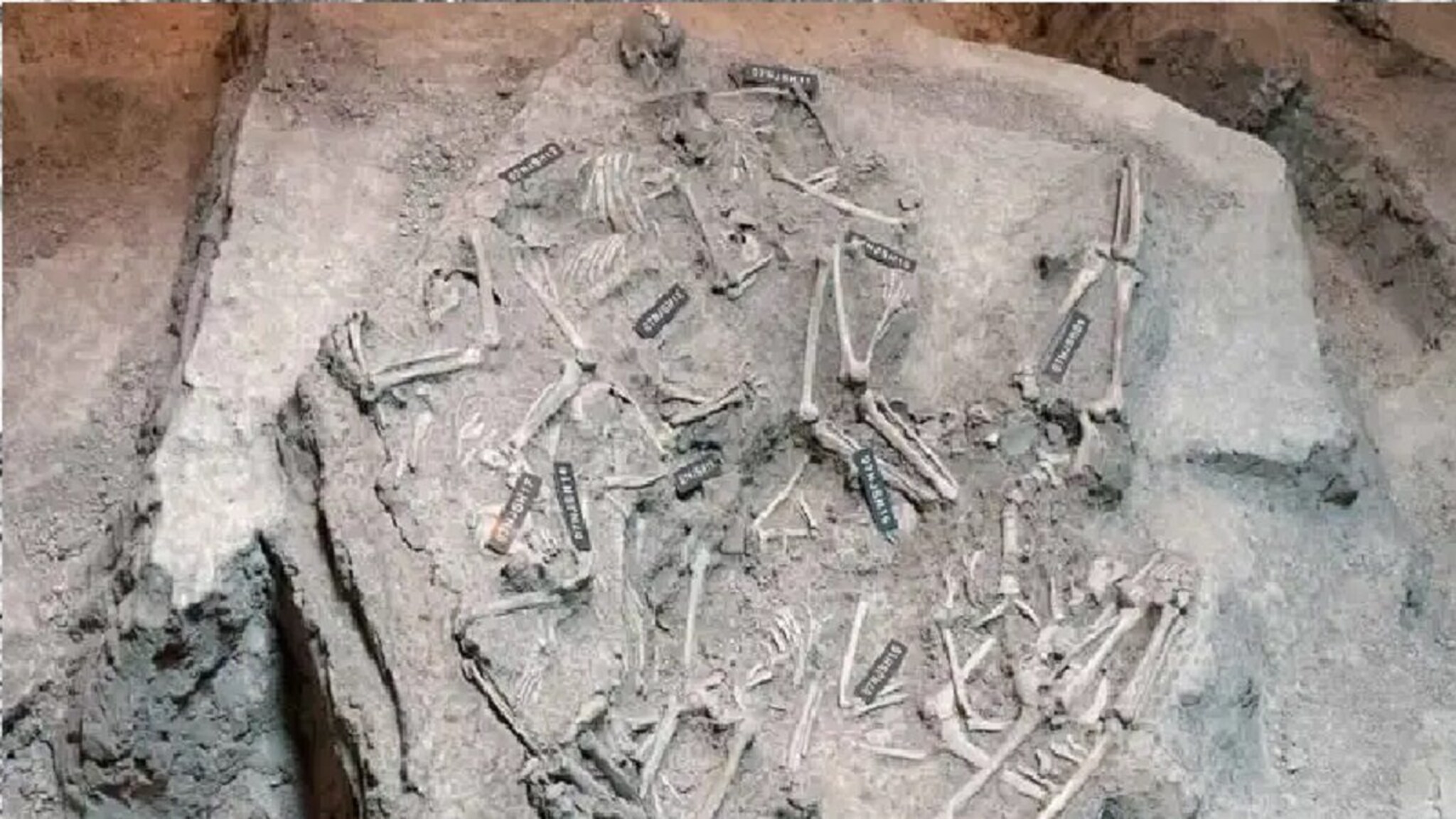 वृद्ध महिला पाहिल्या नाही ना, लहान मुली; जवानांनी 80 हजार महिलांना पाशवी बलात्कार करून संपवलं!