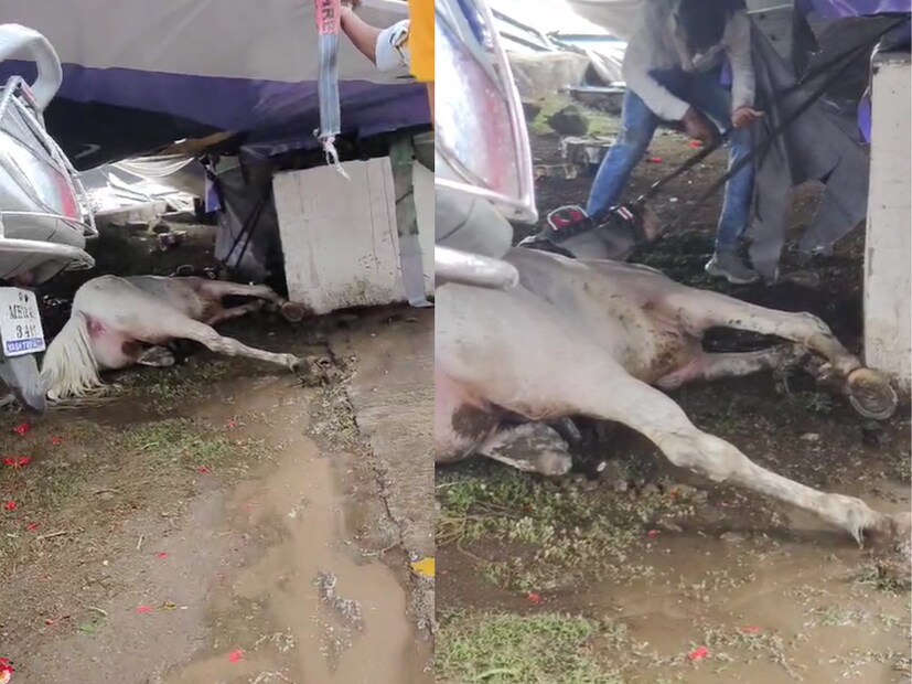 पुणे सोलापूर हायवे लगत लोणी काळभोर या ठिकाणी ही घटना घडली आहे. या घटना वारंवार घडत असूनही प्रशासनाकडून काहीच उपाय योजना होत नसल्याचे समोर आले आहे.