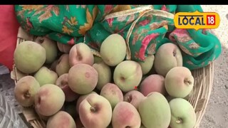 आडू (पीच) फळ