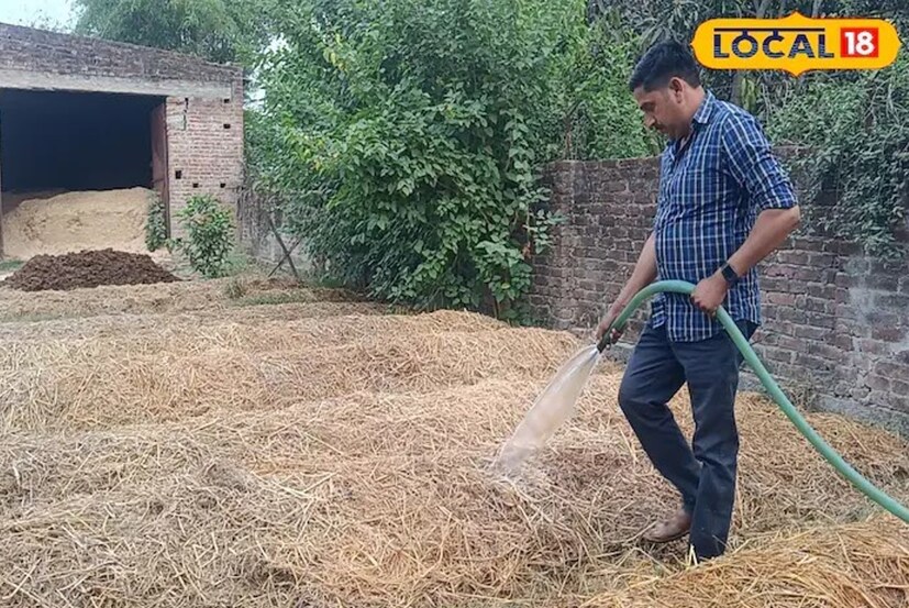 खरबूजातील बियांमध्येही अनेक पोषकतत्त्व आढळतात. खरबूजाच्या बियांना तूपात भाजल्याने साखरेत मिसळून खाल्ल्याने डोकेदुखीच्या समस्येपासून आराम मिळतो. याशिवाय याच्या बियांचा काढा तयार करुन गुळण्या केल्याने गळ्याची समस्या दूर होते. 