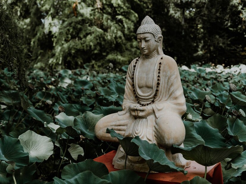 सध्या वैशाख महिना सुरू आहे. वैशाख महिन्याच्या पौर्णिमेला बुद्धपौर्णिमा असं म्हटलं जातं. कारण या दिवशी भगवान बुद्धांचा जन्म झाला होता. या वर्षी बुद्धपौर्णिमा 23 मे रोजी आहे. यंदा या दिवशी असलेली शनीची विशेष स्थिती अनेकांना धनसंपदा देऊ शकते. त्याविषयी अधिक जाणून घेऊ या.