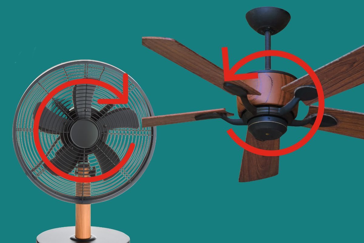 सिलिंग फॅन किंवा टेबल फॅन विरुद्ध दिशेला का फिरतात? कधी याकडे नीट लक्ष ...