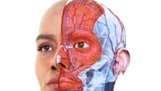 शरीराचा असा भाग जो अंत्य संस्कारांनंतरही जळत नाही!