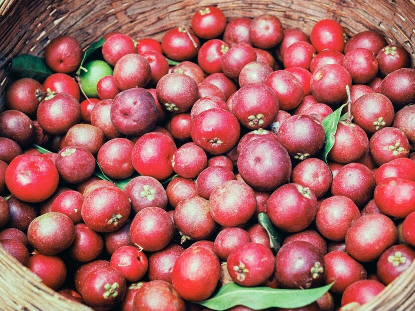  पोषणतज्ञ अंजली मुखर्जी यांच्या मते जर उन्हाळ्यात निरोगी राहण्यासाठी तुम्ही <a href="https://news18marathi.com/lifestyle/kokum-benefits-drink-healthy-tasty-kokum-sharbat-in-summer-to-keep-heart-and-liver-healthy-mhpj-1146403.html">कोकम सरबत</a> पिऊ शकता. हे एक अतिशय आरोग्यदायी पेय आहे, जे उन्हाळ्याच्या उष्णतेपासून शरीराचे संरक्षण करते. कोकम ज्यूसचा आहारात समावेश करा. यामध्ये भरपूर प्रमाणात अँटीऑक्सिडंट असतात, जे पचन सुधारतात. जळजळ होण्याची समस्या दूर करते. ॲसिडिटी, ब्लोटिंग यासह अनेक समस्यांवर उपचार करते.