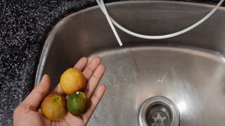 सिंकमध्ये लिंबू टाकताच कमाल (फोटो : सोशल मीडिया व्हिडीओ ग्रॅब)