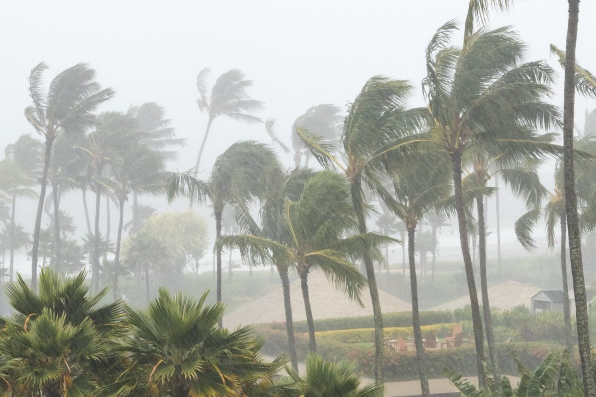 Dana Cyclone: 153 ट्रेन रद्द, मंदिरात दर्शन बंद, 2 दिवस सरकारकडून हायअलर्ट