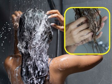 धुतल्यानंतरही केस चिकट आणि गुंतलेले राहतात? बदला कंडिशनर लावण्याची पद्धत..