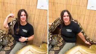 महिलेचा भयानक अजगरांसोबत व्हिडीओ