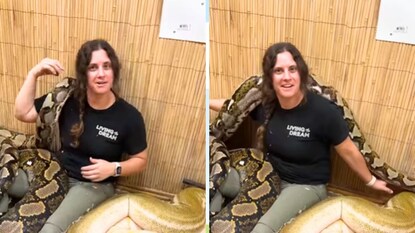 महिलेचा भयानक अजगरांसोबत व्हिडीओ महिलेचा भयानक अजगरांसोबत व्हिडीओ