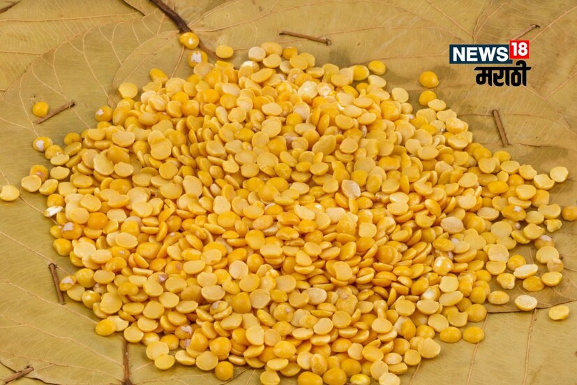 पचनसंस्था उत्तम राहते : तूरडाळीत प्रथिनांबरोबरच फायबरचे प्रमाण जास्त असते. फायबरचे प्रमाण चांगले असल्याने ही डाळ पचनसंस्था मजबूत करण्यास मदत करते. त्यामुळे तूरडाळ ही आरोग्यासाठी उत्तम समजली जाते.