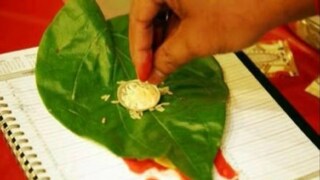 वि़डा वि़डा