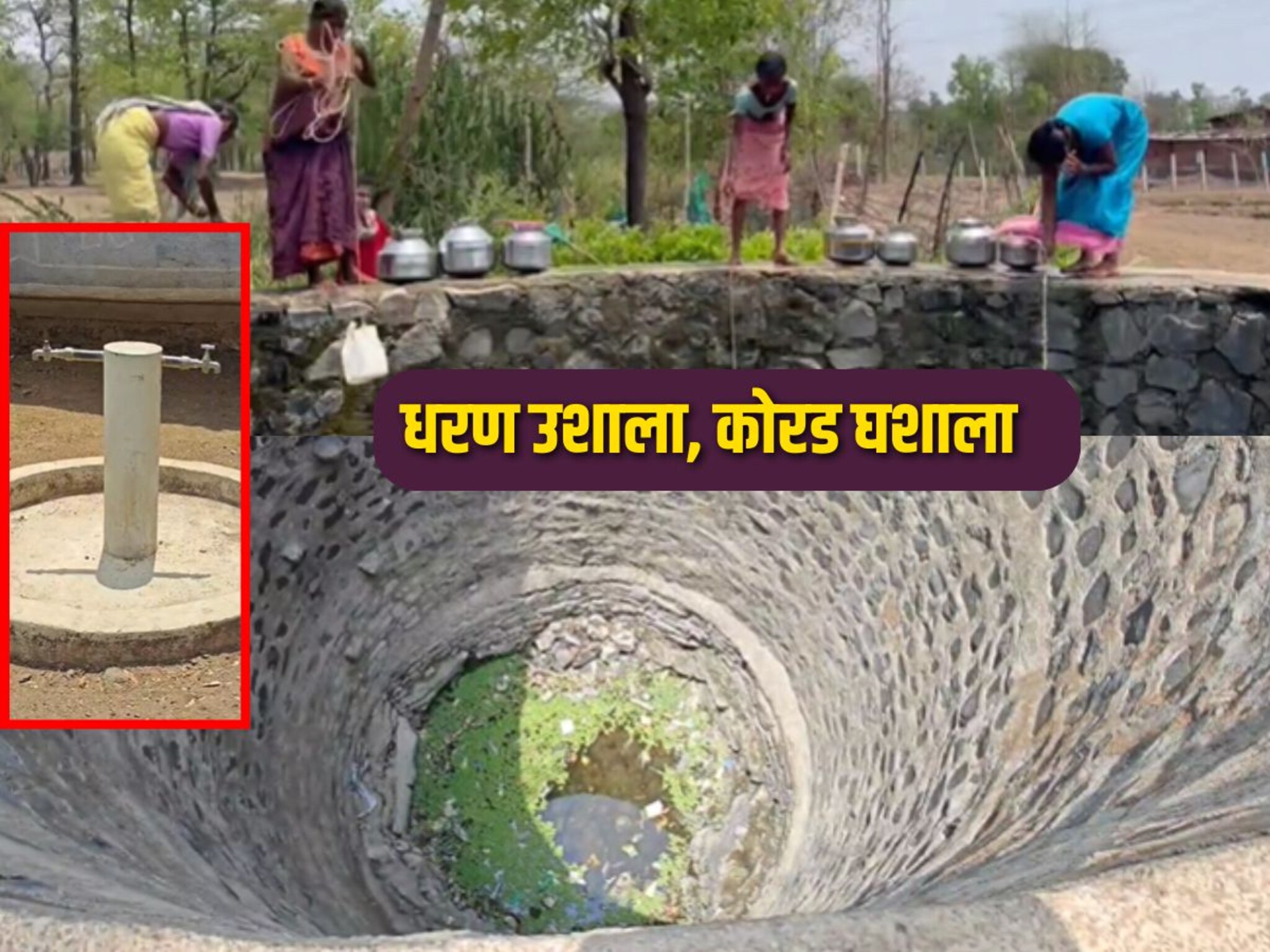 Palghar : धरण उशाला, कोरड घशाला! विहिरींनी गाठला तळ, पाण्यासाठी रात्रभर पहारा देण्याची वेळ