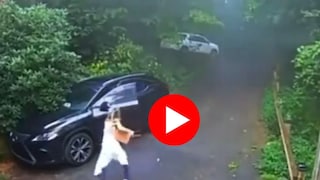 महिलेला कारचा दरवाजा उघडताच दिसलं असं काही....