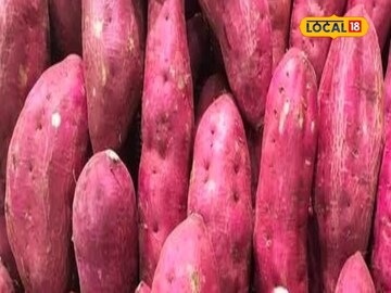 उपवासाला खिचडी आणि फळं खाऊन कंटाळलात? मग हलवा खा! रेसिपी सोपी