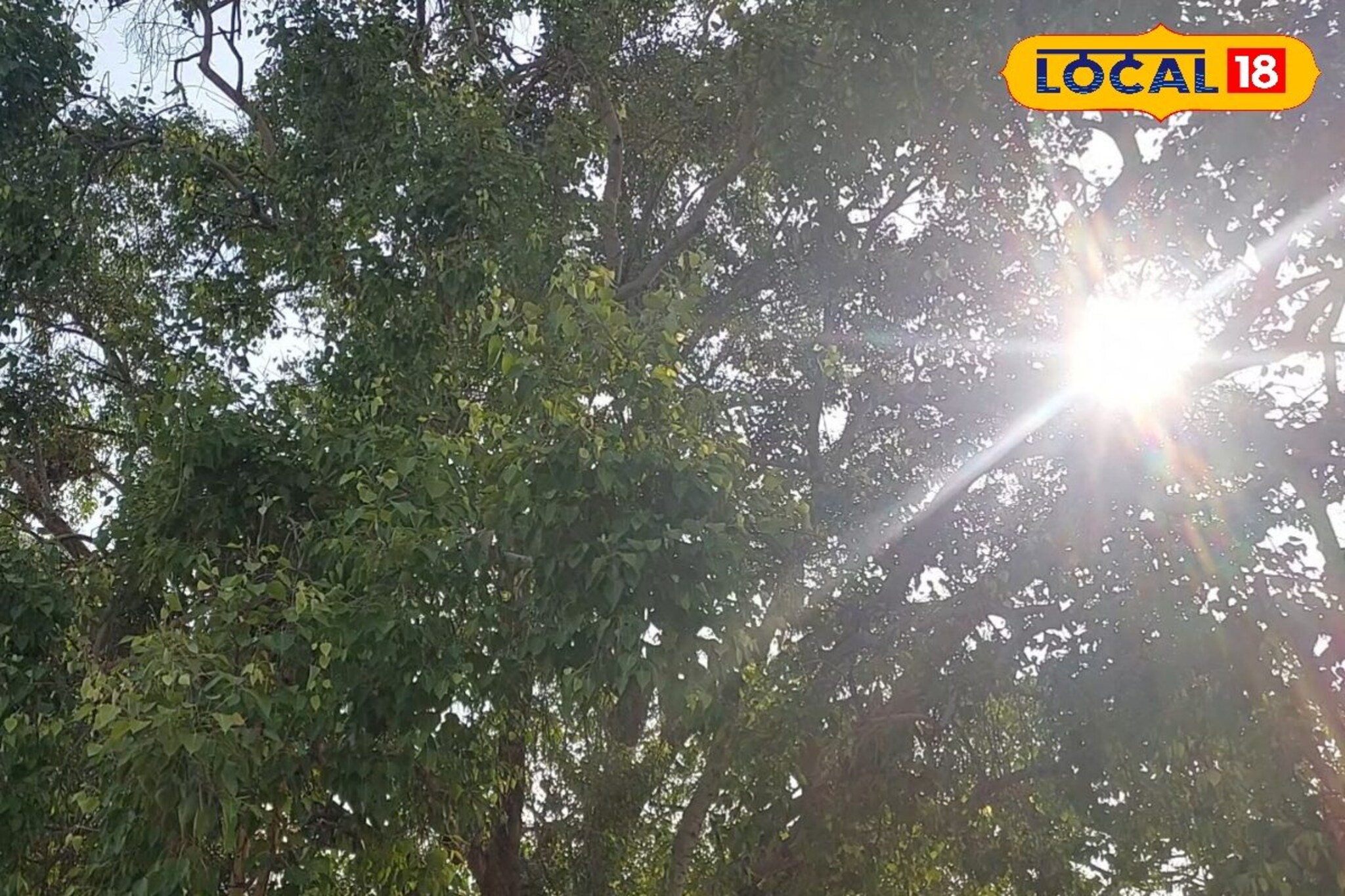 नागपुरात वरुण राजाचं आगमन कधी? प्रचंड उकाड्याने नागरिक हैराण, पावसाची प्रतिक्षा