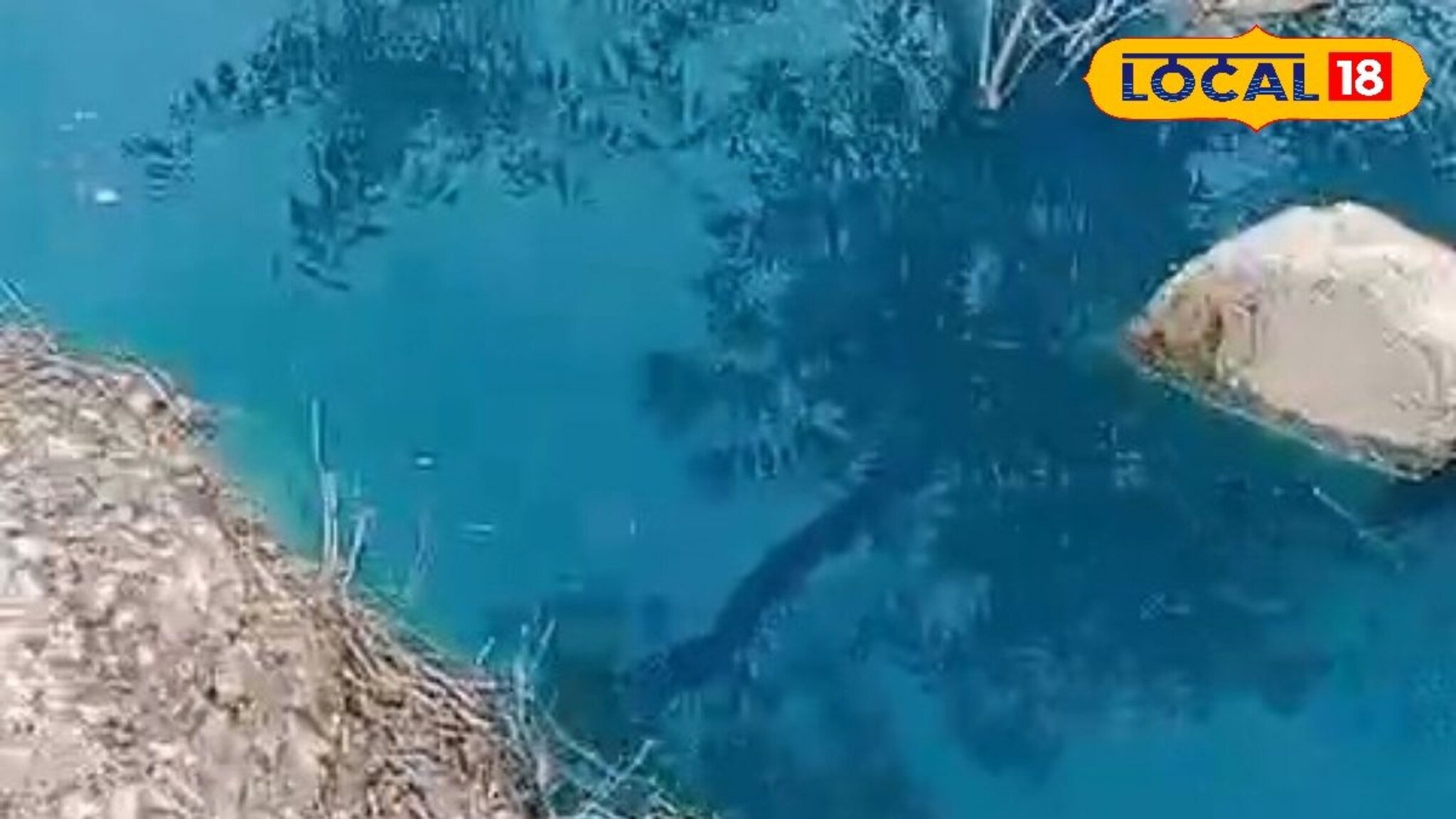 निळ्या पाण्याची गोष्ट! वीज पडल्याची अफवा अन् Viral Video मागील सत्य