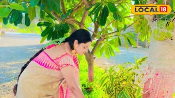 वटपौर्णिमा