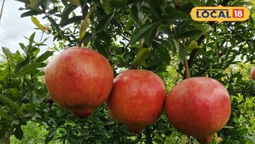 शेतकऱ्यांसाठी