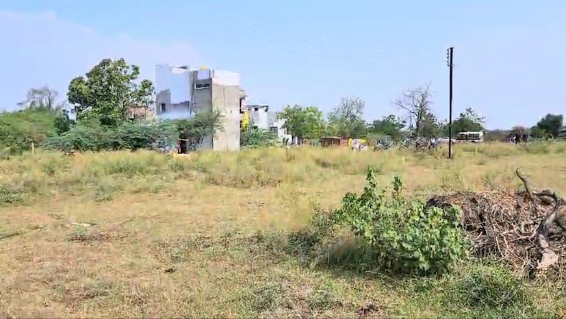 युवकाने तो पट्टा घरी नेला. गोळ्या पाहून कुटुंबीयांनी पोलीसांना ही माहिती दिली. पोलिसांनी घटनास्थळी पाहणी केली तेव्हा 390 गोळ्याचा साठा पोलिसांना सापडला.