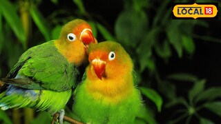 नवरा-बायकोच्या भांडणावर वेळीच उपाय करणं आवश्यक असतं.