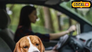 अनेकजण उपाशीपोटी प्रवास करतात. अनेकजण उपाशीपोटी प्रवास करतात.