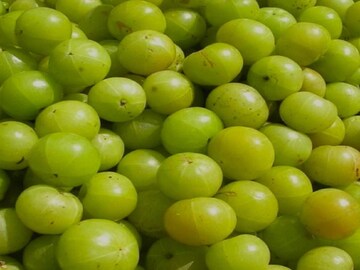 धुमाळवाडी