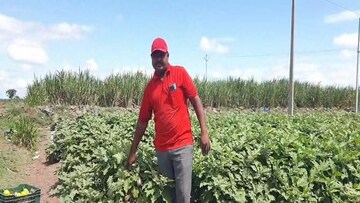 हिप्परकर