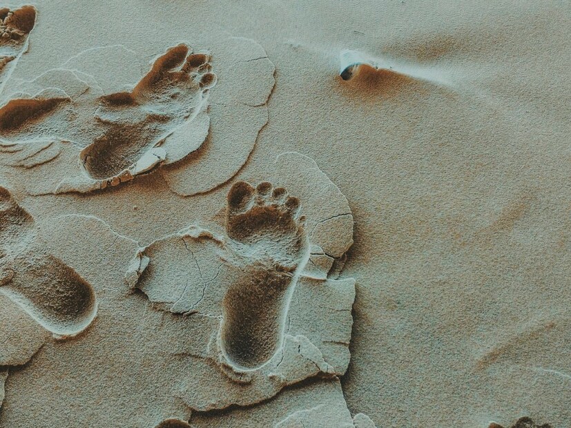 पण असा जीव तुम्हाला माहिती आहे का? ज्याचे पाय सकाळी 4, दुपारी 3 आणि संध्याकाळी 3 होतात. पायांची संख्या बदलणारा हा जीव कोणता असा प्रश्न तुम्हाला पडला असेल.