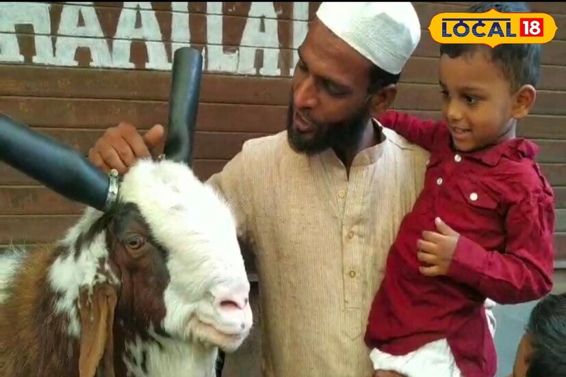 दस्तगीर बागवान यांच्याबाबत मूर्ती लहान पण कीर्ती महान असंच म्हटलं जातं. त्यांची स्वतःची उंची कमी असली तरी त्यांनी तयार केलेल्या बोकडांची उंची आणि वजन पाहिलं तर भले भले तोंडात बोट घालतात. 