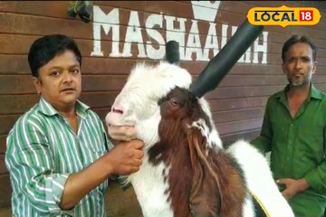 Bakri Eid : वजन 170 किलो तर किंमत तब्बल 4 लाख रुपये, गुलाम-ए-मुस्तफा बोकडाची Bakri Eid : वजन 170 किलो तर किंमत तब्बल 4 लाख रुपये, गुलाम-ए-मुस्तफा बोकडाची