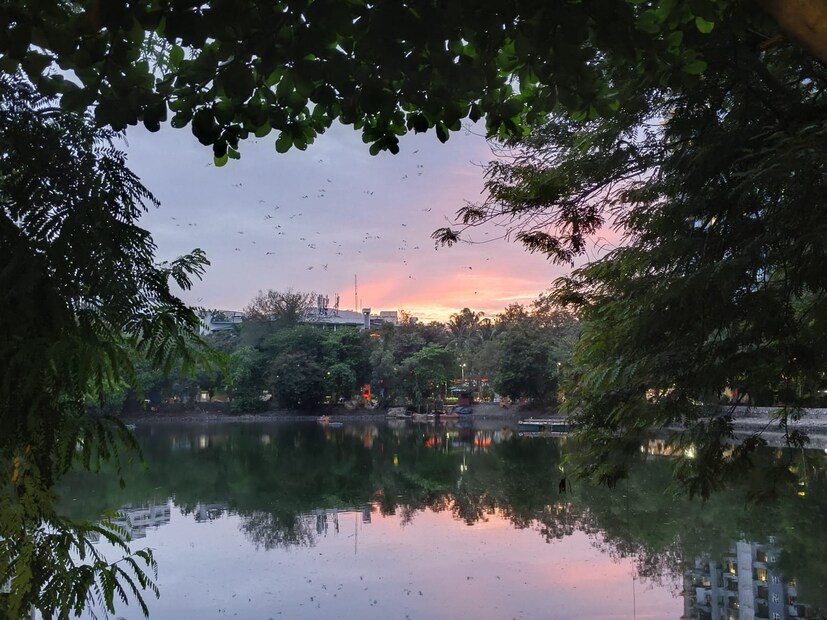 6) कचराळी तलाव - ठाणे-पश्चिम येणारा कचराळी तलाव हे ठाणे शहरातील पावसाळ्यातील प्रसिद्ध ठिकाण आहे. कचराळी तलाव हे मांजरीकरिता प्रसिद्ध असून इथे हजारोंच्या संख्येने मांजरी आढळतात. ठाणे-पश्चिममधील अनेक आजूबाजूचे लोकं पाऊस पडून गेल्यानंतर जॉगिंगसाठी खेळण्यासाठी गप्पागोष्टी करण्यासाठी या कचराळी तलावाच्या आजूबाजूला असणाऱ्या परिसरात जमतात. संध्याकाळी आणि सकाळी या तलावाच्या आजूबाजूचा परिसर निसर्गरम्य असतो. तुम्हालाही जर गजबजाट असणारा ठाण्यात एखाद्या शांत ठिकाणी जायचे असेल तर आवर्जून या कचराळी तलावाला भेट द्या. ठाणे स्थानकापासून कचराळी तलाव हे फक्त अर्ध्या तासावर आहे.