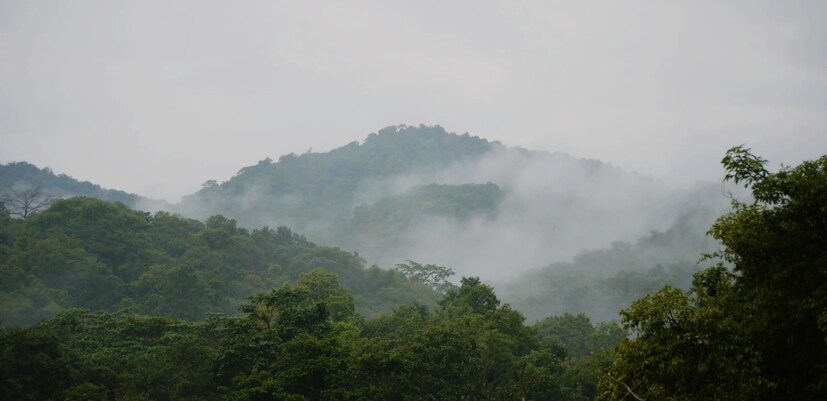 7) येहुर हिल्स - ठाण्यातील येहुर हिल्स हे ठिकाण विशेषतः पावसाळ्यामध्ये निसर्गरम्य वातावरणासाठी आणि फोटोशूट साठी प्रसिद्ध आहे. अनेक ट्रेकर्स दरवर्षी याठिकाणी मोठ्या प्रमाणात ट्रेकिंगसाठी येतात. याठिकाणी अनेक धबधबे, हिरवळ, निसर्गरम्य वातावरण असल्यामुळे पर्यटक पाऊस सुरू झाल्यानंतर इथे भेट द्यायला येतात. ठाणे स्थानकापासून येऊर हिल्स हे ठिकाण दहा किलोमीटर अंतरावर आहे.