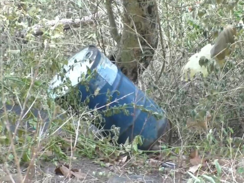 डोळ्यात आणि त्वचेला जळजळ होत आहे. तसेच श्वास घ्यायला त्रास जाणवत आहे, यामुळे मानवी आरोग्यासह वन्य प्राण्यांच्या आरोग्याला देखील धोका निर्माण झाला आहे. घटनेची माहिती मिळताच धाडचे ठाणेदार नरेंद्र पेंदोर घटनास्थळी दाखल झाले. त्यांनी बुलढाणा येथून नगरपालिकेचे अग्निशमन पथकाला बोलावून घेतले. 