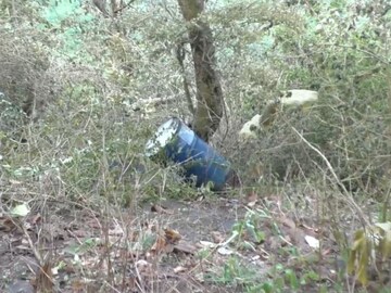 मढच्या जंगलात धक्कादायक घटना! झाडे करपली, डोळ्यांची जळजळ, 3 किमी दुर्गंधी, PHOTO मढच्या जंगलात धक्कादायक घटना! झाडे करपली, डोळ्यांची जळजळ, 3 किमी दुर्गंधी, PHOTO