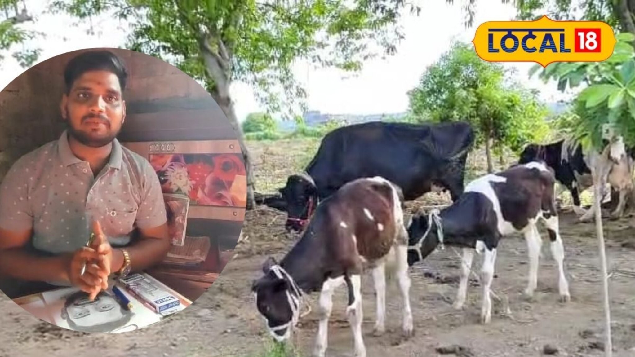 Dharashiv Success Story : अत्यल्प पाऊस, सिंचनाचीही सुविधा नाही, पण त्याने करुन दाखवलं, आज महिन्याला करतोय 60-70 हजारांची कमाई