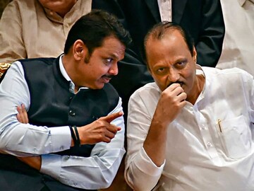 'राष्ट्रवादीमुळे आमचं वाटोळं झालं', भाजप आमदार भडकला; मिटकरी-चव्हाणांची 'लायकी' काढली!