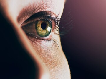 General Knowledge : या अवयवाला हात लावताच समजतं, व्यक्ती खरं बोलतेय की खोटं General Knowledge : या अवयवाला हात लावताच समजतं, व्यक्ती खरं बोलतेय की खोटं