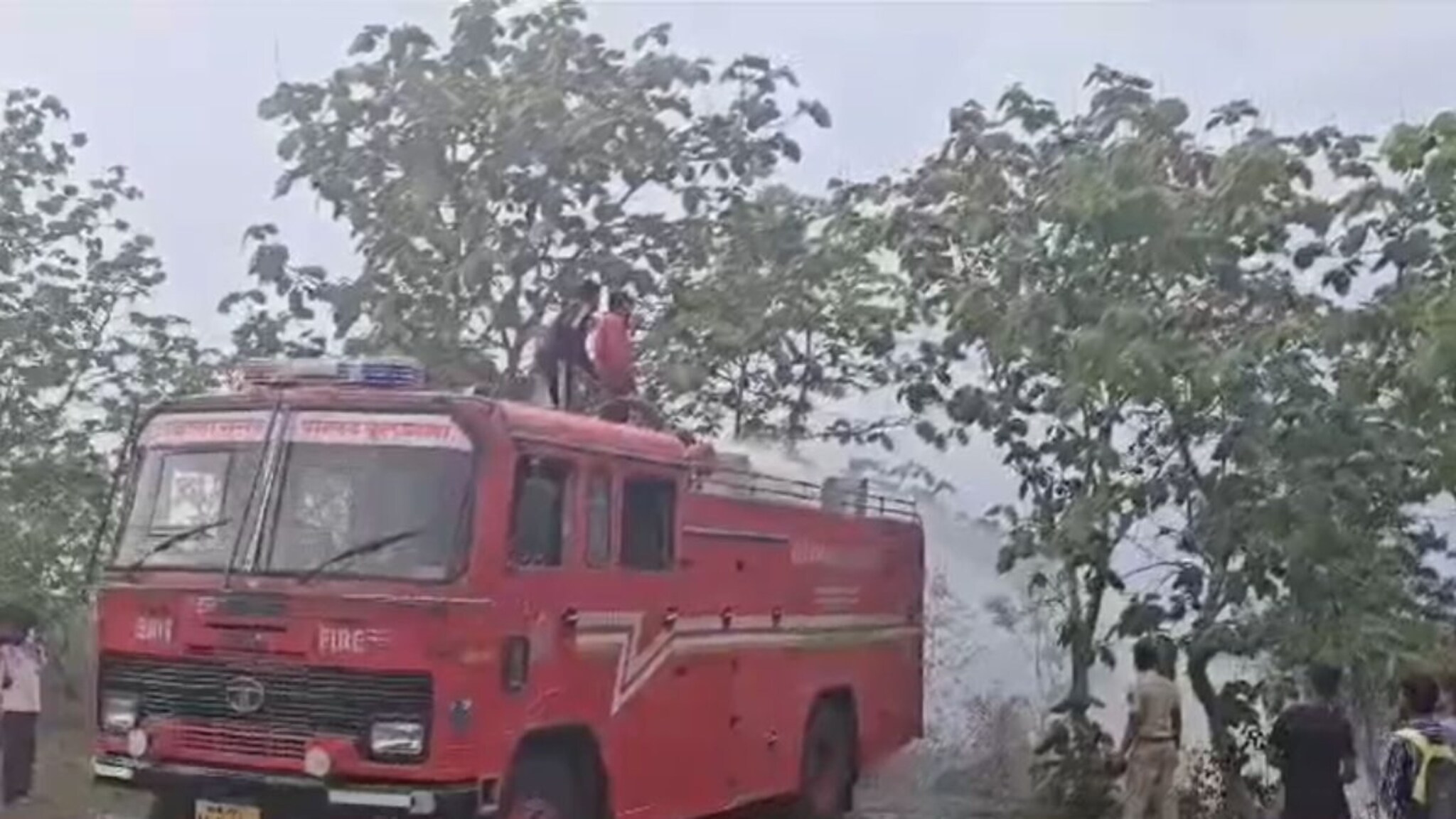 Buldhana News : मढच्या जंगलात धक्कादायक घटना! झाडे करपली, डोळ्यांची जळजळ, 3 किमी दुर्गंधी, PHOTOS समोर