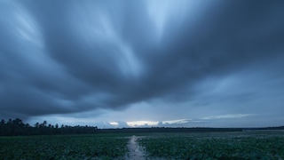 File Photo File Photo