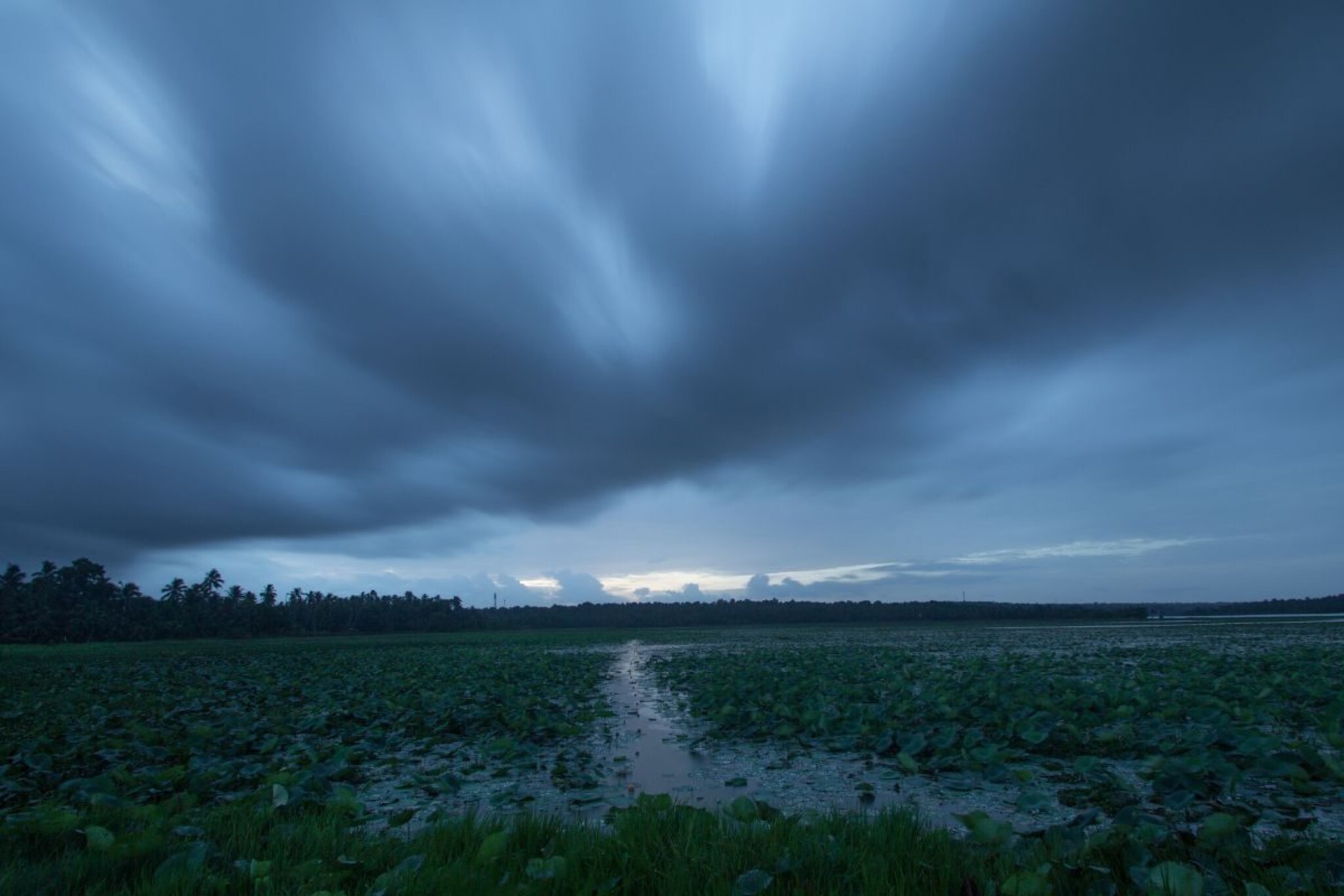 धो-धो बरसतोय पाऊस, 6 जिल्ह्यांवर मोठं संकट, हवामान विभागाने दिला इशारा